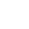 Globe icon
